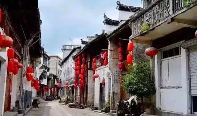 救援快乐的兔子